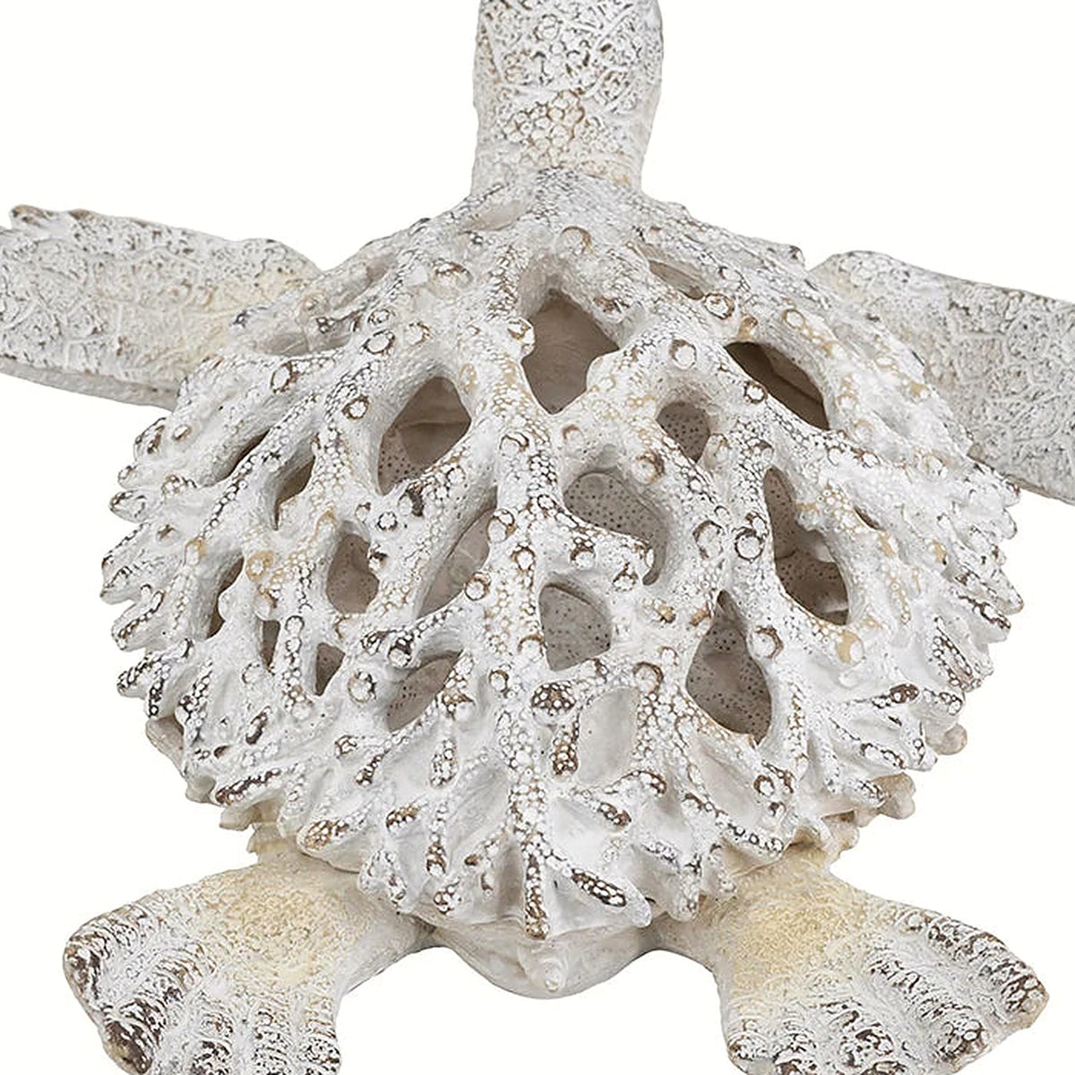 Detail of the openwork coral cutouts across the turtle shell