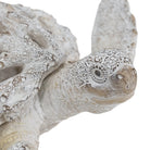 White coral-pattern sea turtle sculpture, close-up of the head