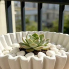 Detail of the ruffled wavy rim and pleated sides in bright light