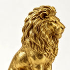 Detail of the textured gold mane along the lion's back