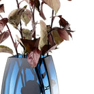 Detail of the softly rounded rim and glowing teal glass walls