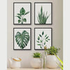 Slow cinematic tour of the tropical leaf framed canvas wall art set from real product photography