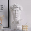 Classical David Bust Sculpture in Resin video showcase